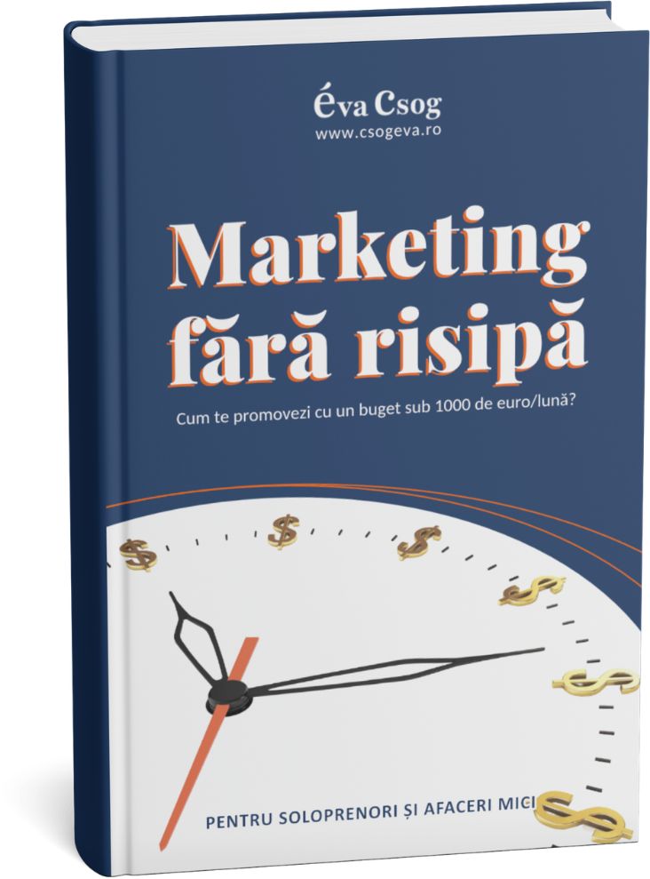 coperta ebook Marketing fara risipa